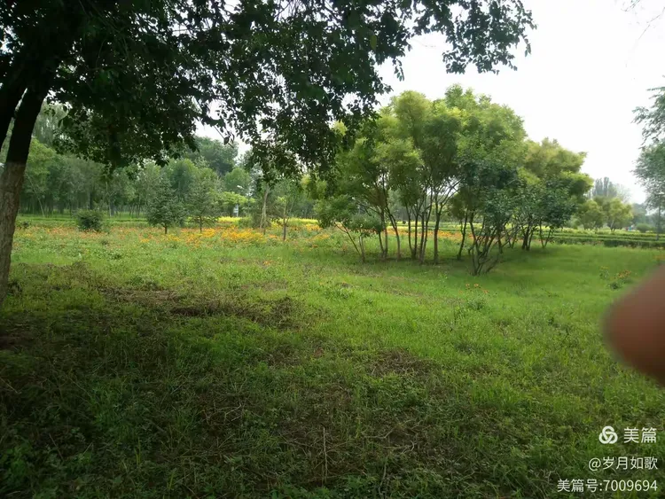 岁月留痕……大同口泉植物园